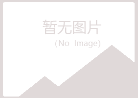 南宁山柳工程有限公司